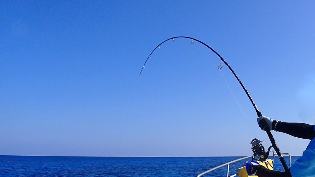 フィッシングレクチャー